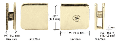 CRL Polished Brass Traditional Style Fixed Panel U-Clamp